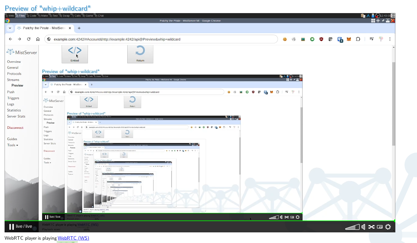 image of HTTPS WebRTC ingest to playback within MistServer